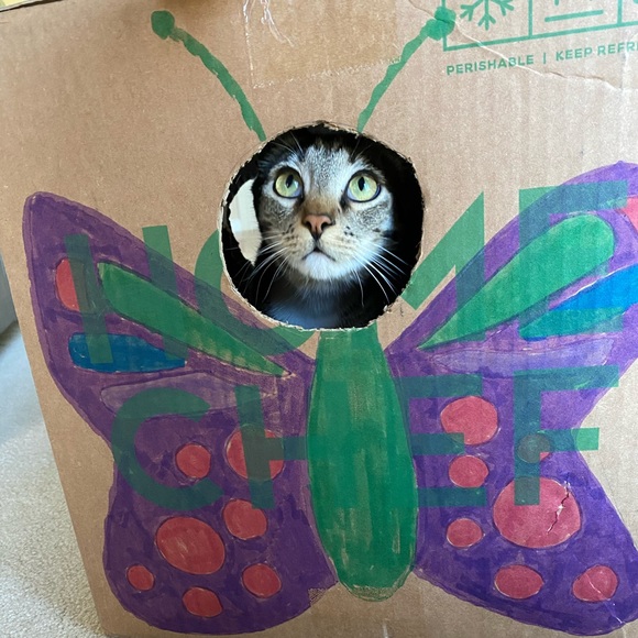 Meet your Posher, Ellen - Picture 1 of 1